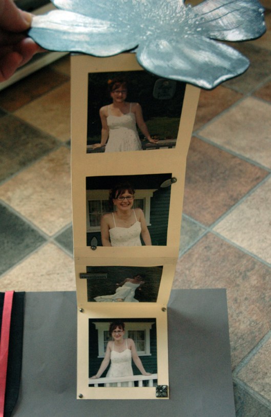 sara - accordian album