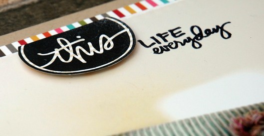 Say Cheese! - this life everyday closeup