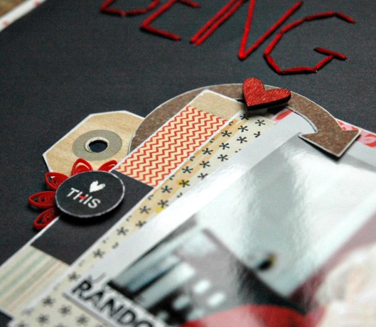 crazy sock - embellies