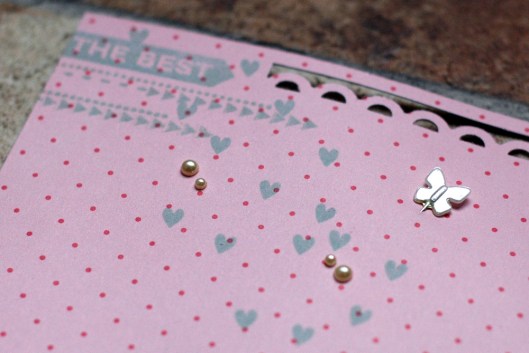 fly - punching & embellies