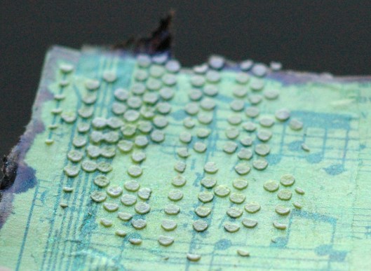 meow - paste and shine