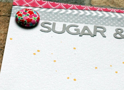 sugar & spice - washi & brad