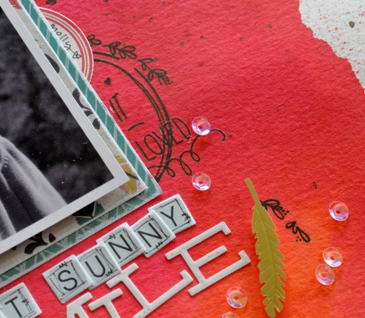 17 - title embellies